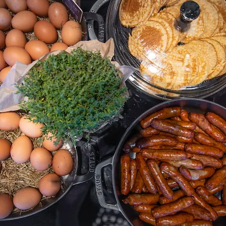 Radisson Blu Hannover